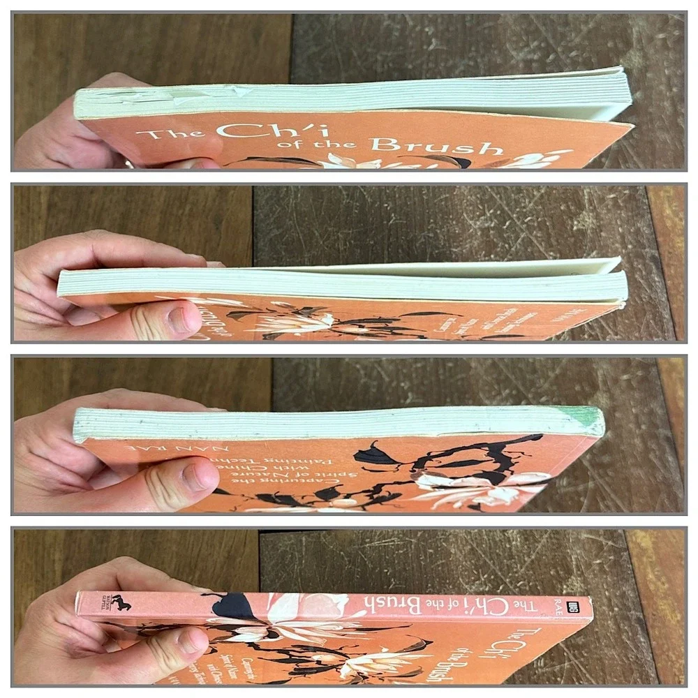 The Ch'i of the Brush Paperback book‎ 2003 Nan Rae